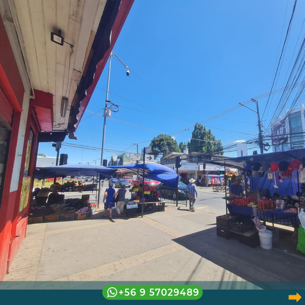 LOCAL COMERCIAL - ARRIENDO - Imagen 4